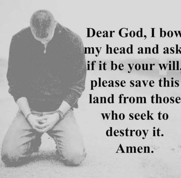 Meet your Posher, Lisa - Picture 1 of 2